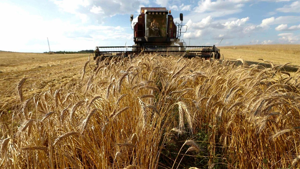 Apoyos del gobierno estatal para sector agropecuario potosino ascienden  a casi 67 mdp.