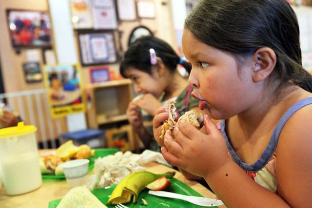 Instituciones de salud deben difundir programas de información sobre buenos hábitos alimenticios.