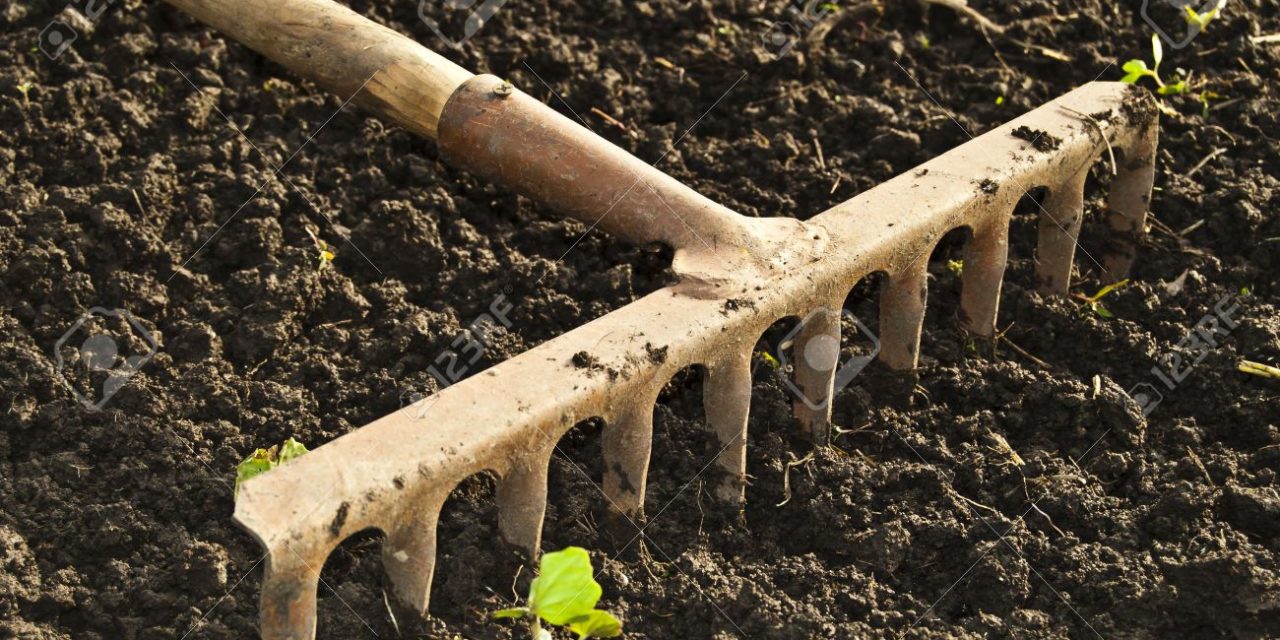 Buscan Congreso del Estado reconversión productiva en zonas rurales de baja producción.