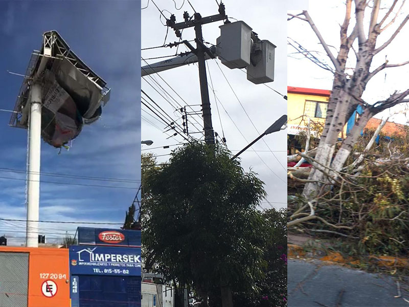 Atienden autoridades múltiples emergencias por fuertes vientos en SLP