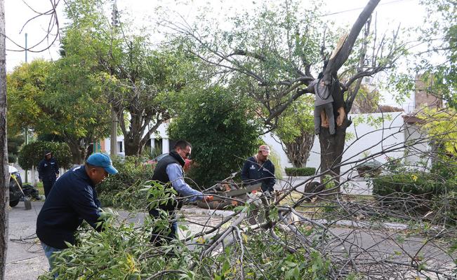 Servicio meteorológico pronostica rachas de viento de hasta 70 km/h para SLP