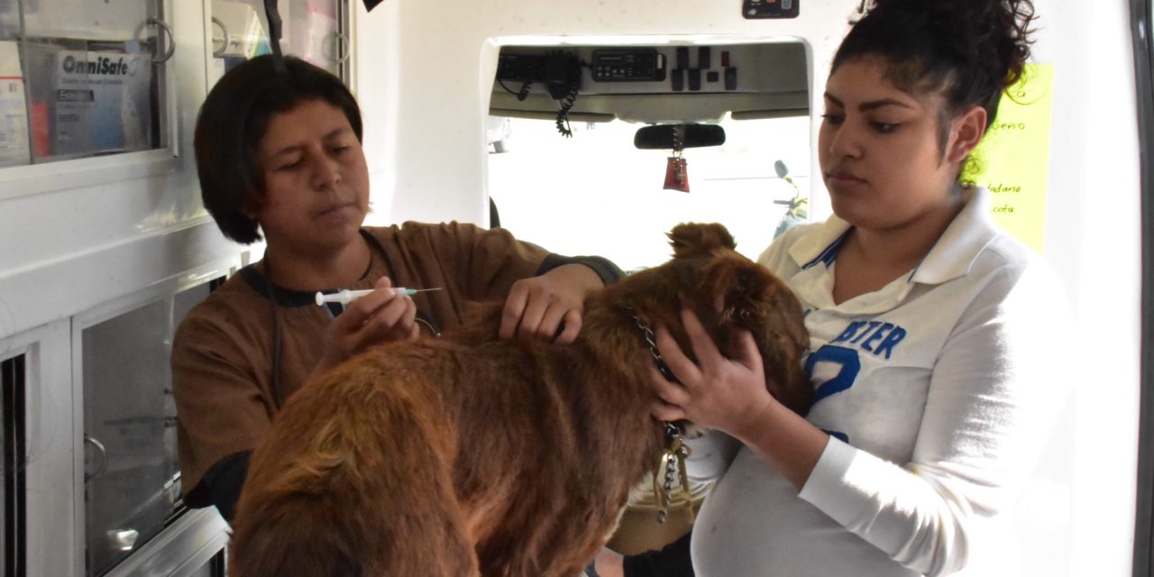 Se fortalece trabajo de apoyo al rescate animal.