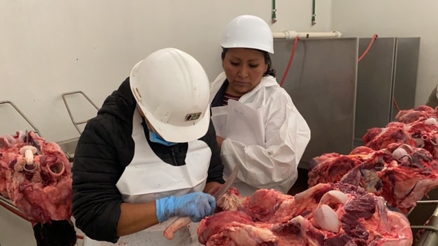 Fortalecen programa de erradicación de la tuberculosis bovina