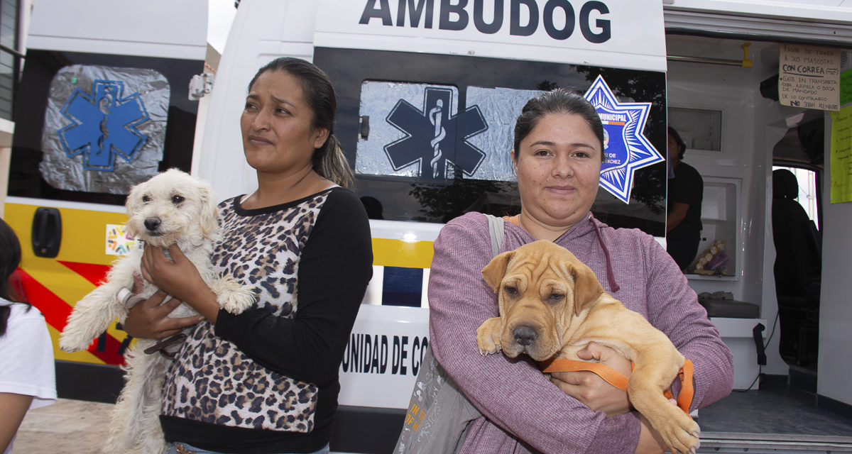 Acrecienta programa “Ambudog” atenciones a mascotas.