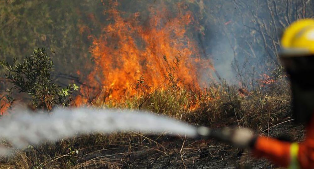 Incendio Forestal en Rioverde está controlado al 75 por ciento.
