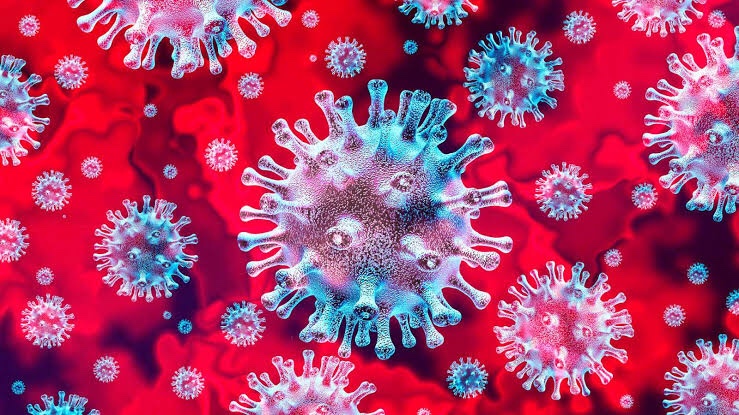 Cuatro nuevo casos de Coronavirus se registran en SLP