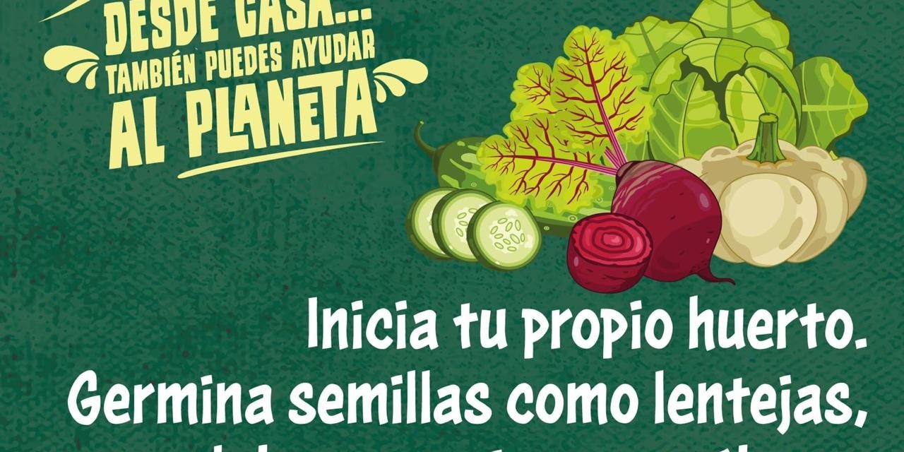 Desde casa también puedes ayudar al planeta, campaña virtual de la Segam en la jornada de sana distancia