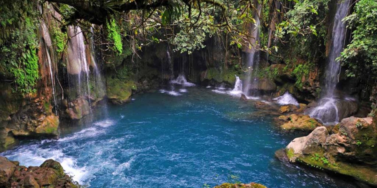 Covid-19, ayudo a ejercer menos presión en los ecosistemas, refiere la Agenda Ambiental de la UASLP.