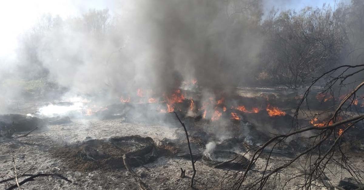Aumentan servicios del Cuerpo de Bomberos por causa de incendios en lotes baldíos.