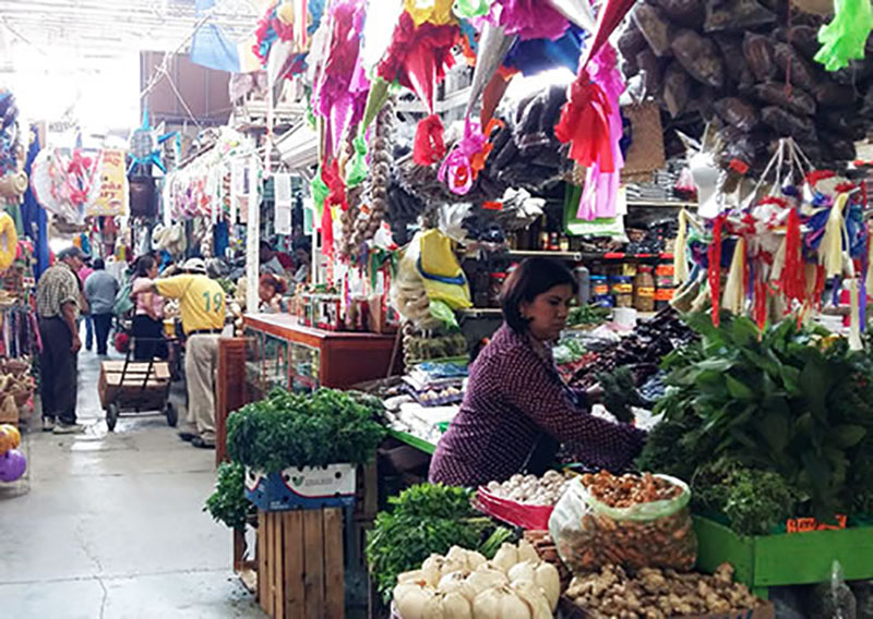 Insta analista económica universitaria al gobierno a atender la economía informal.