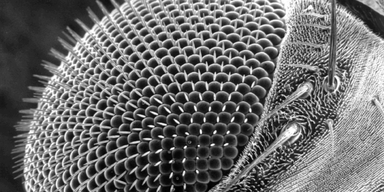UASLP cuenta con tecnología única de Microscopia de Alta Resolución.