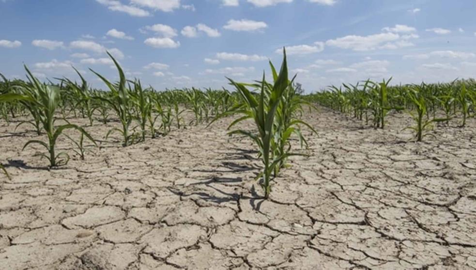 Piden que se agilice la entrega de apoyos al sector agropecuario.