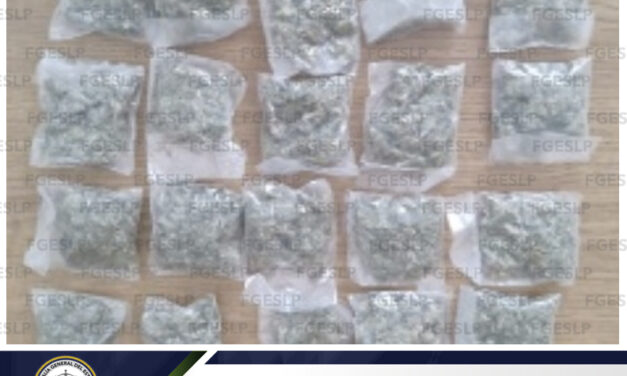 Detienen en Matehuala a hombre con marihuana