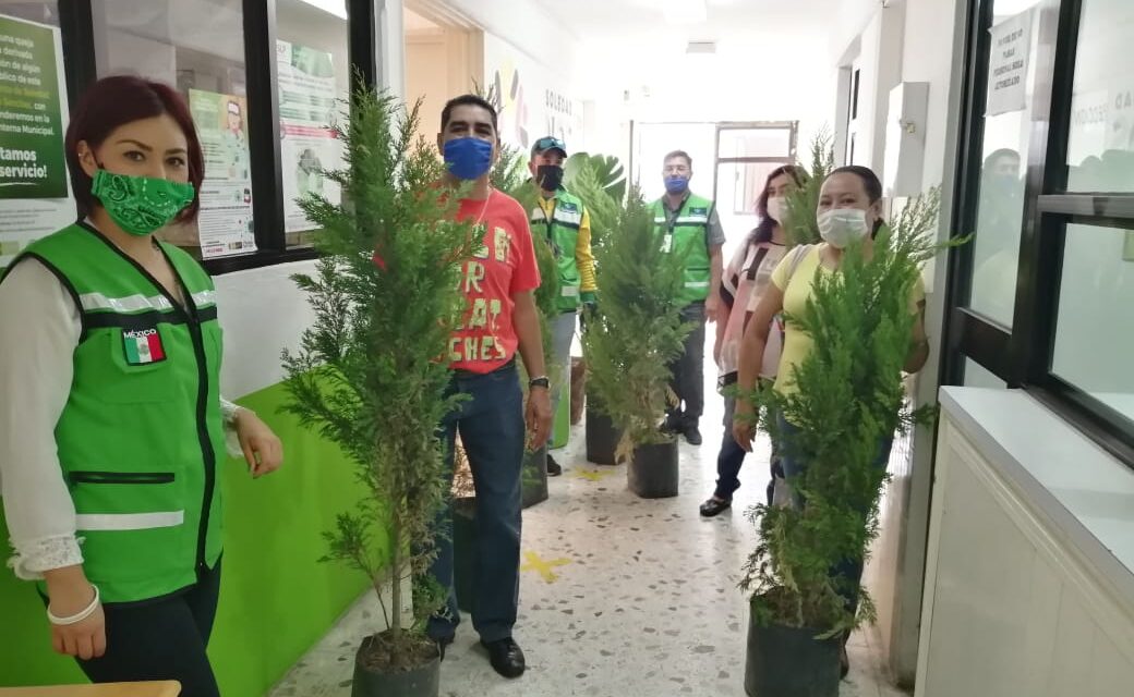 Amplían reforestación de espacios públicos en Soledad.