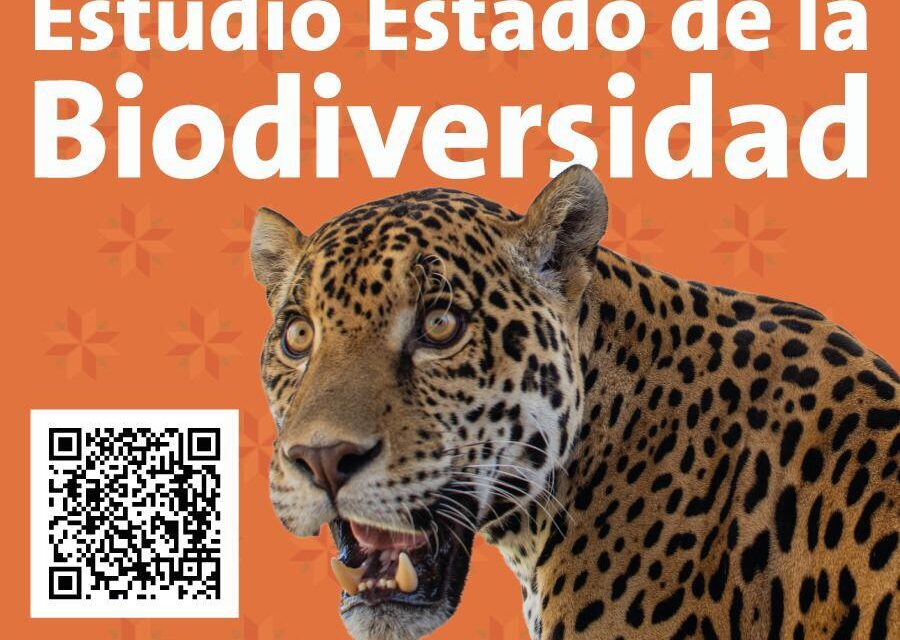 SLP es el quinto lugar nacional en diversidad biológica.