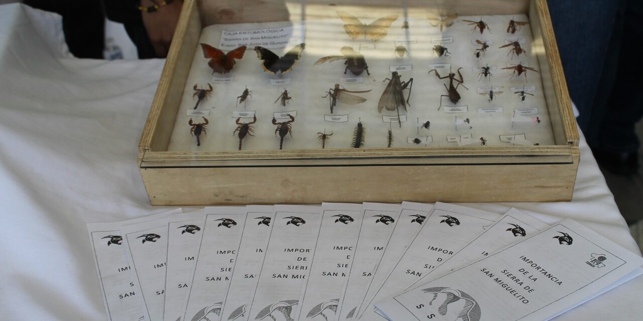 COBACH da a conocer ganadores de jornadas académicas de competencias 2019-2020