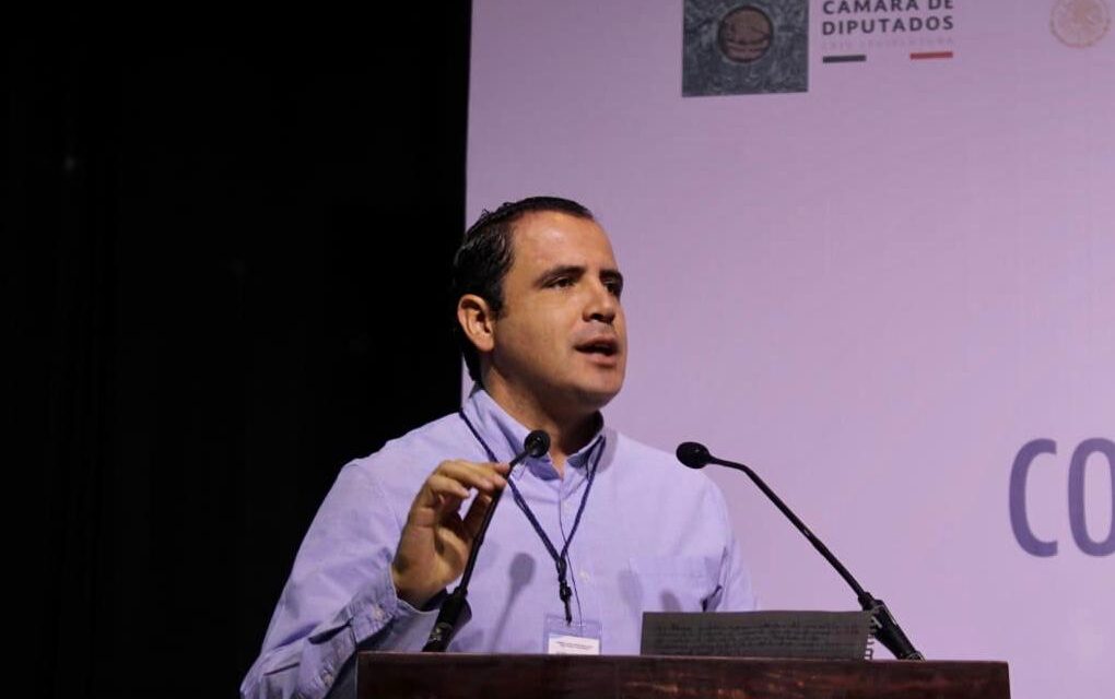 Fuerzas armadas no pueden ser el comodín del gobierno