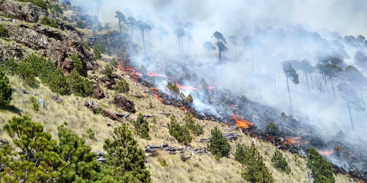 62 incendios forestales se han detectado y atendido en SLP