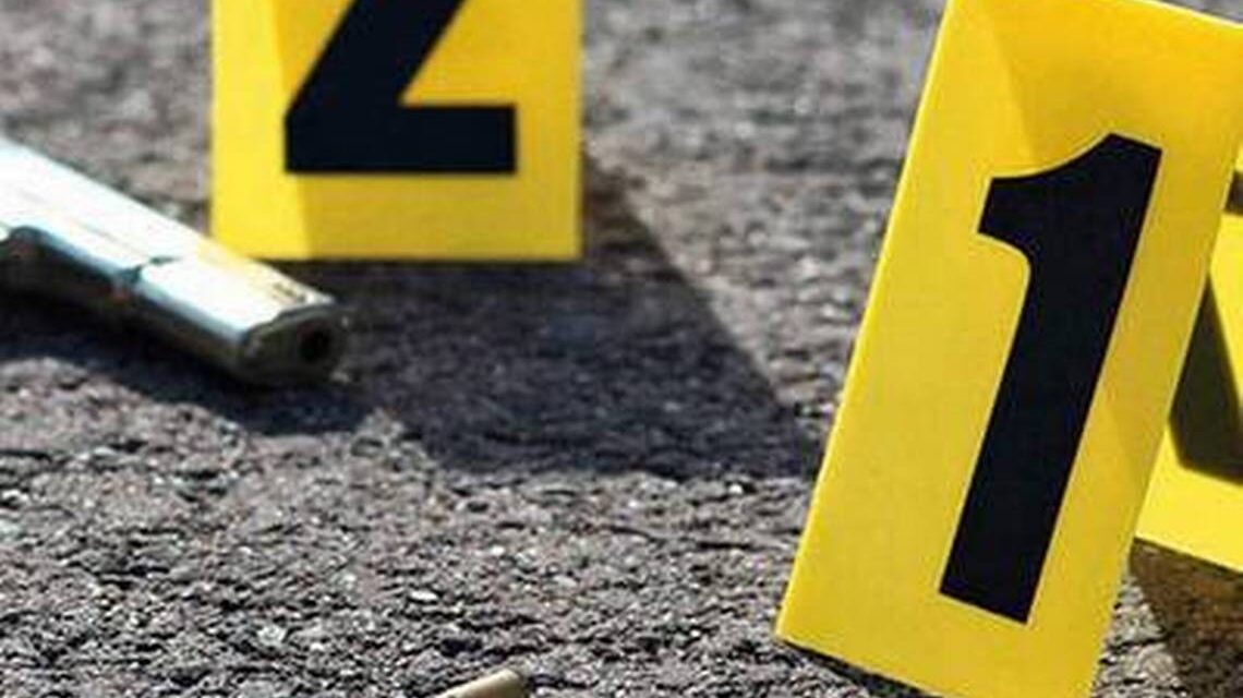 21 decesos de forma violenta en Zona Media en lo que va del año: Vianey Montes