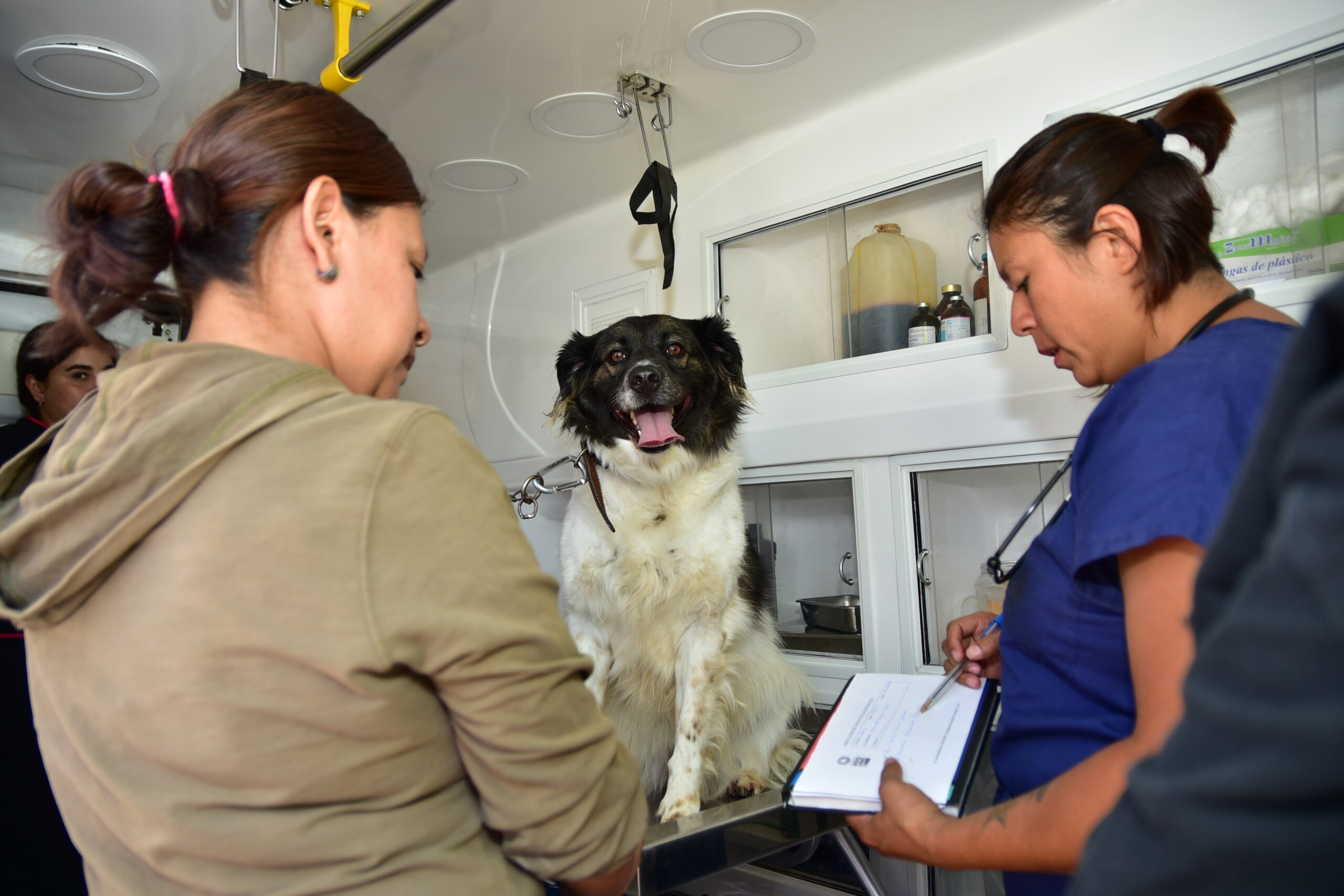 Reactivarán programa “Ambudog” en Soledad, con las adecuadas medidas preventivas.