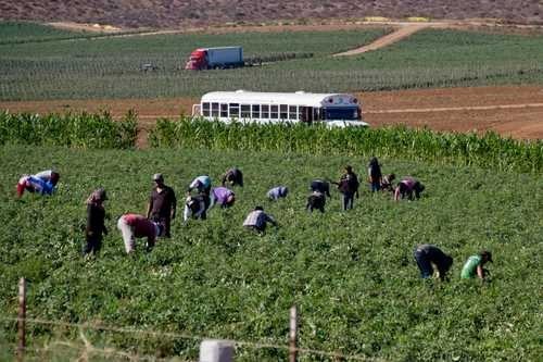 Ante pandemia, urge acelerar uso de tecnología en el campo