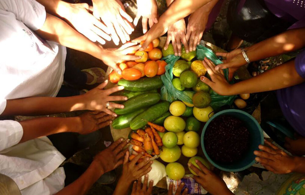 El COVID-19 dejará un retroceso de 15 años en materia de Seguridad Alimentaria, advierte internacionalista del COLSAN