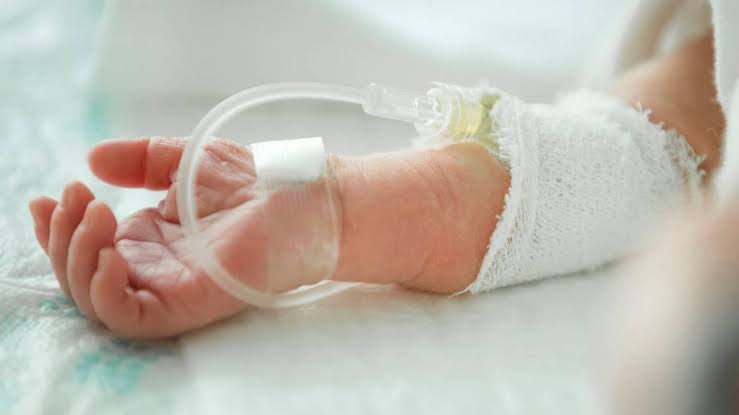 Busca el IMSS en SLP reducir casos de muerte en bebés prematuros.