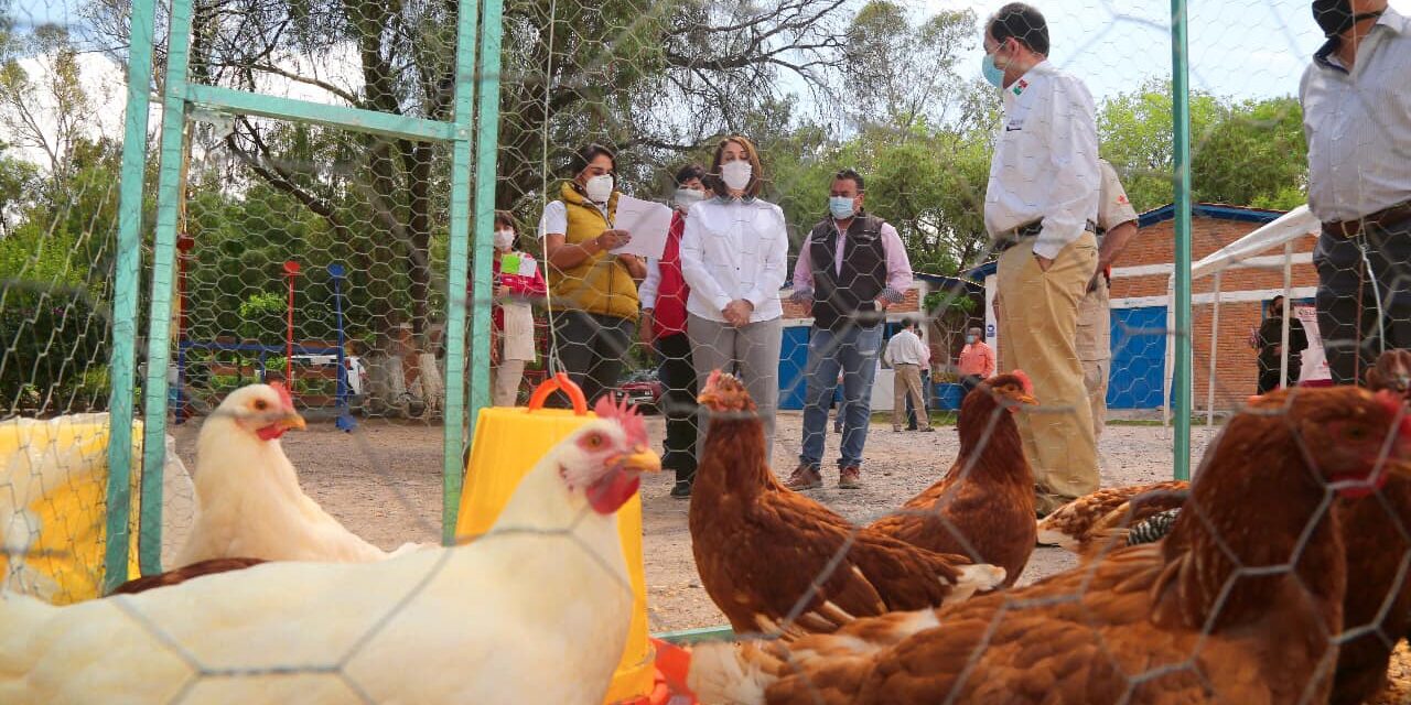 DIF estatal destinará 2 mdp al programa de salud y bienestar comunitario