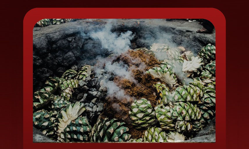 Invitan a conferencia sobre elaboración del mezcal en Mexquitic