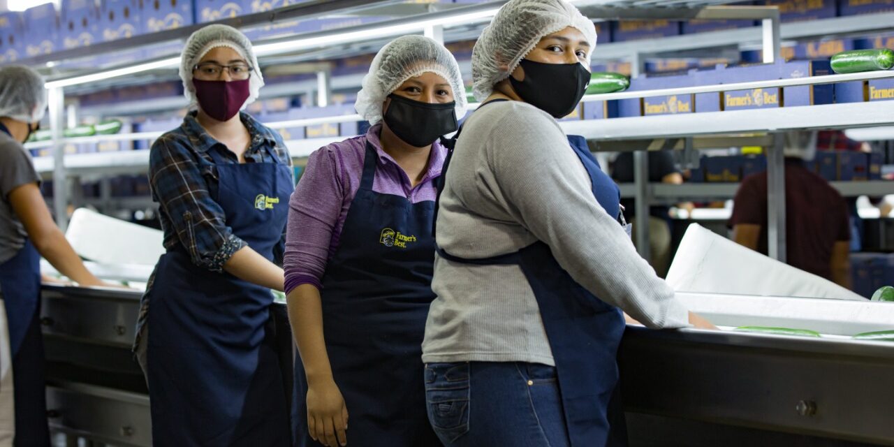 Estima la STyPS menor pérdida de empleo pese a estatus rojo en el semáforo