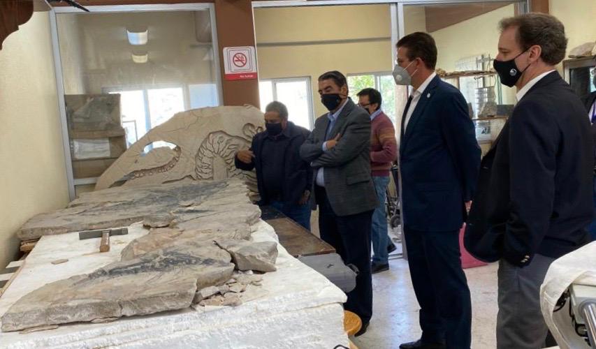 Pez con 150 millones de años, podría ser el inicio de un proyecto para un museo en la UASLP