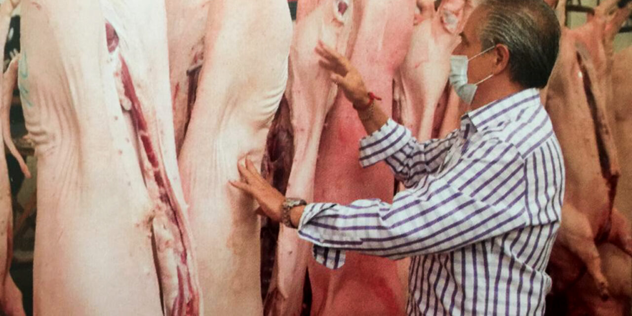 Prevén aumento del 30% en sacrificio de animales en rastro municipal de Soledad