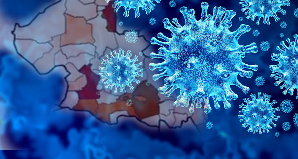 Rebasa SLP 45 mil contagios por Covid-19; otras 308 personas dan positivo en las recientes 24 horas