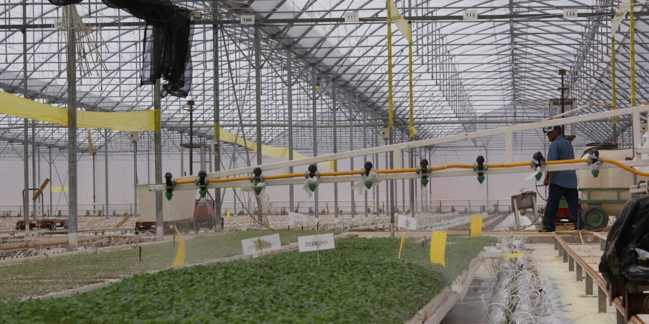 Se incrementa tecnificación de riego en SLP