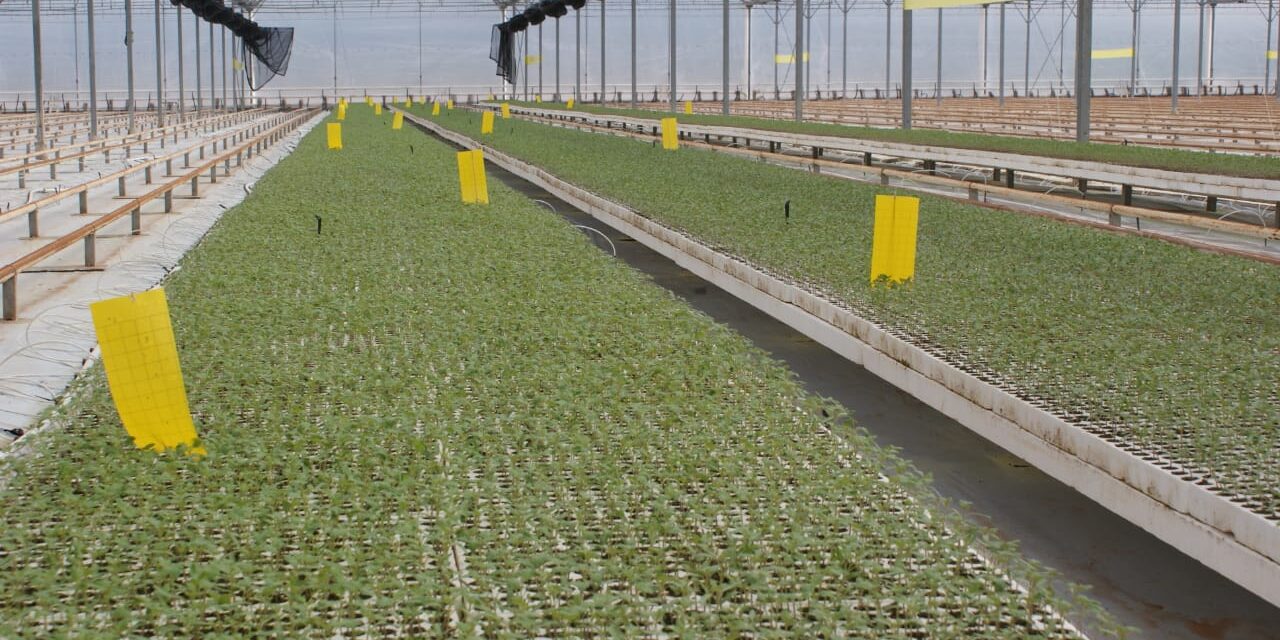 Cerró 2020 con cerca de 2 mil empleos formales creados en el sector agrario presume Sedarh