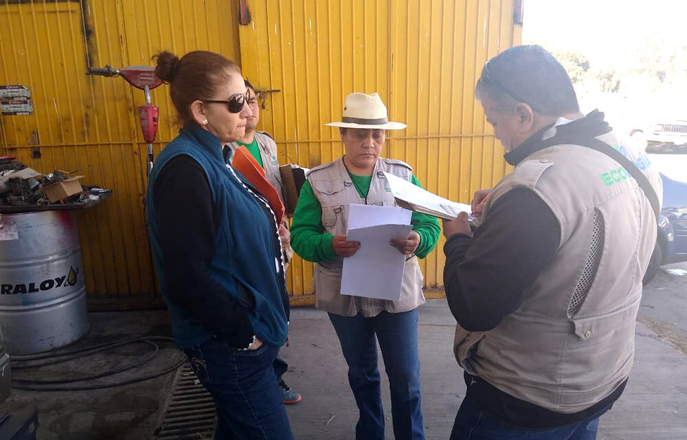En vigilancia establecimientos en Soledad para que puedan obtener dictamen de impacto ambiental.