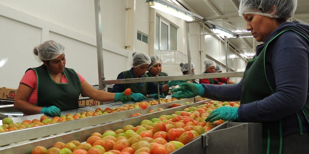 Superan los 48 mil mdp inversiones en el sector agropecuario y agroindustrial potosino.