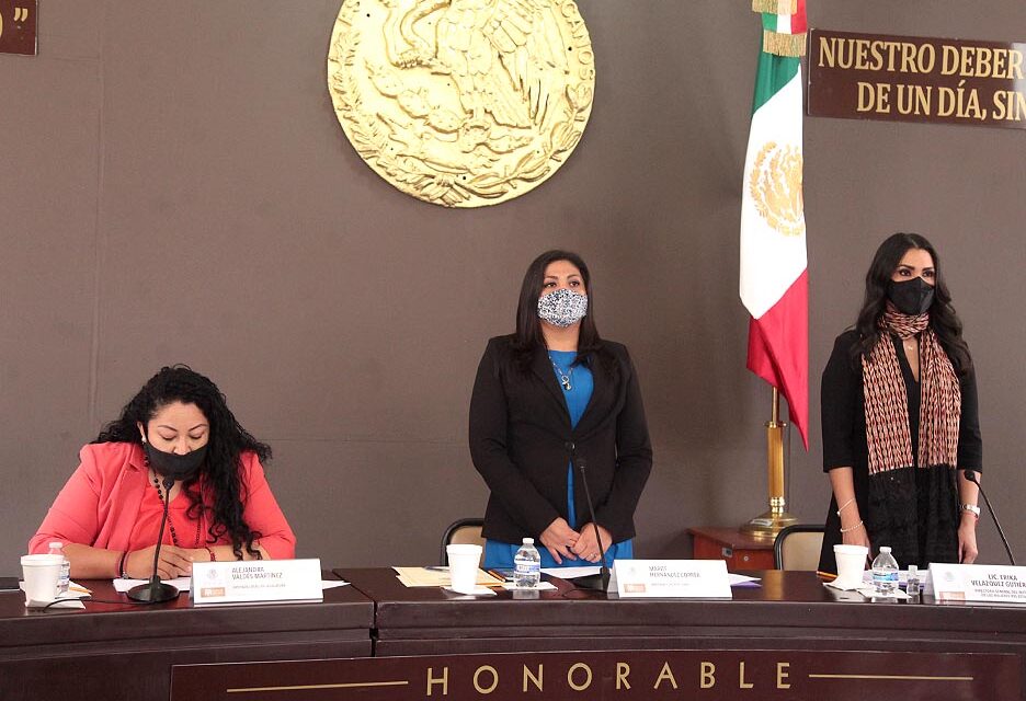 En su comparecencia la directora general del IMES, Erika Velázquez señaló que las agendas de trabajo deben empatarse con las demandas de la sociedad civil.
