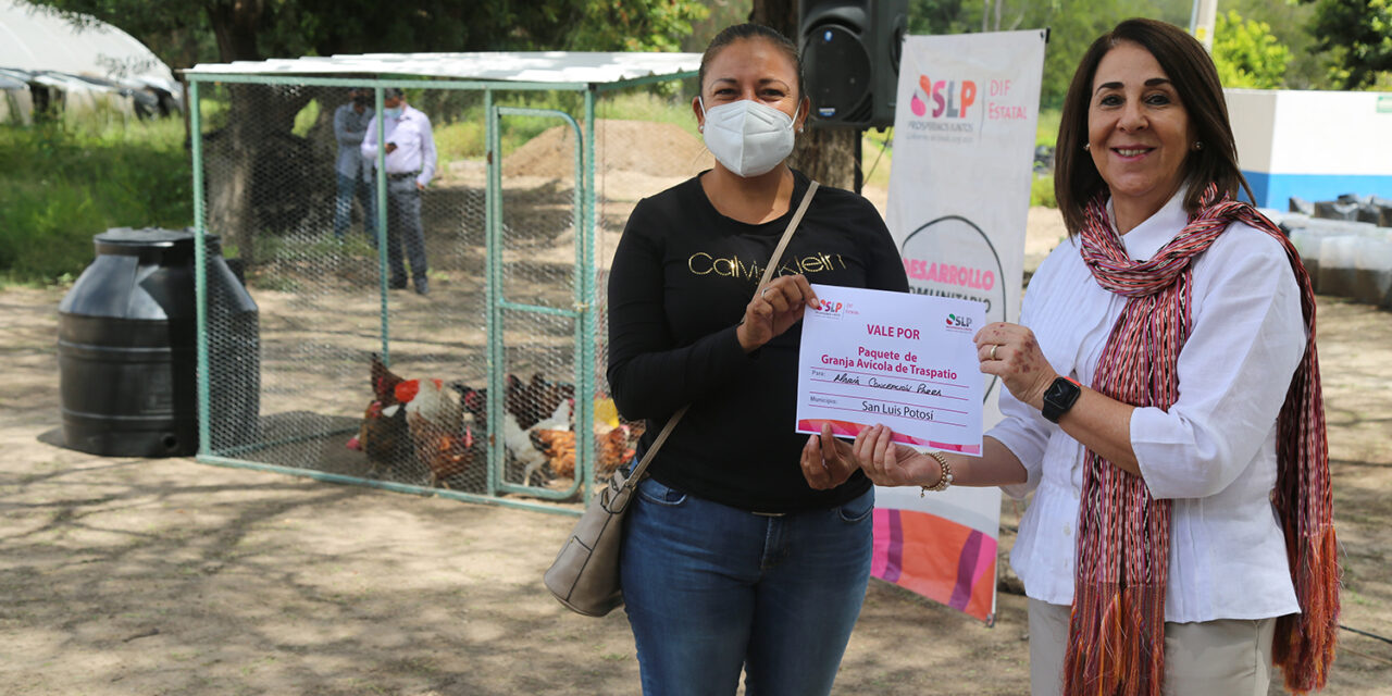 Se cumplió con la entrega de más de 6 mil 300 granjas avícolas de traspatio: DIF estatal