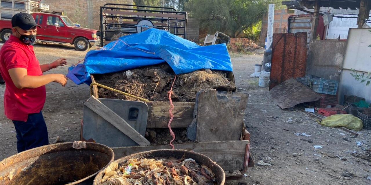 Ecología de Soledad atiende puntualmente denuncias relacionadas con daños al medio ambiente