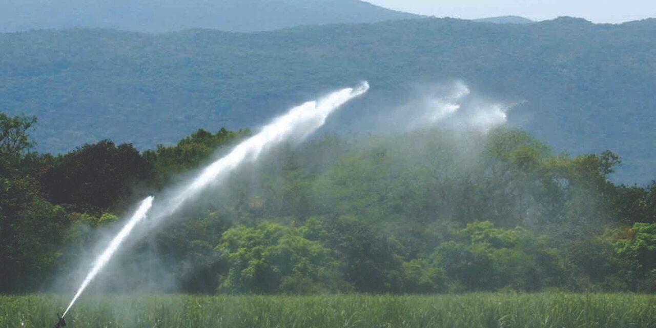 Más de 12 mil hectáreas fueron equipadas con riego tecnificado en SLP