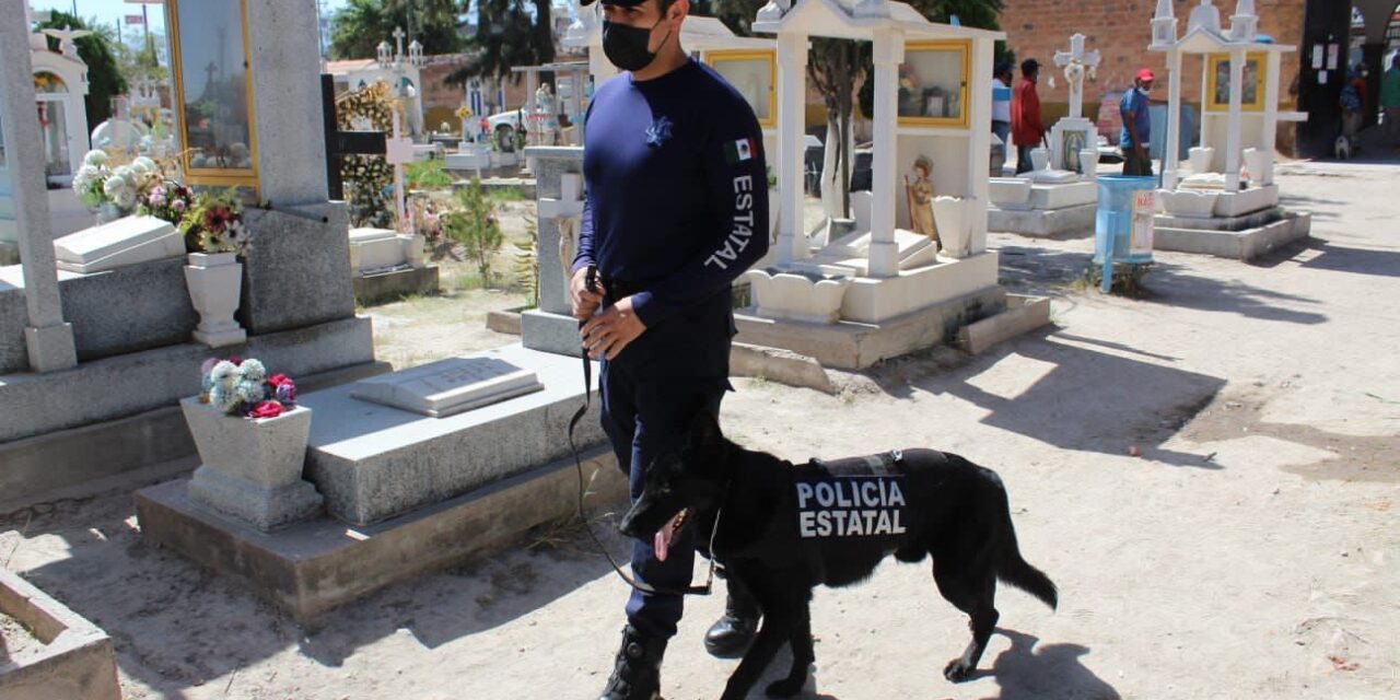 Gobierno del Estado refuerza la prevención y vigilancia por Día de Muertos.