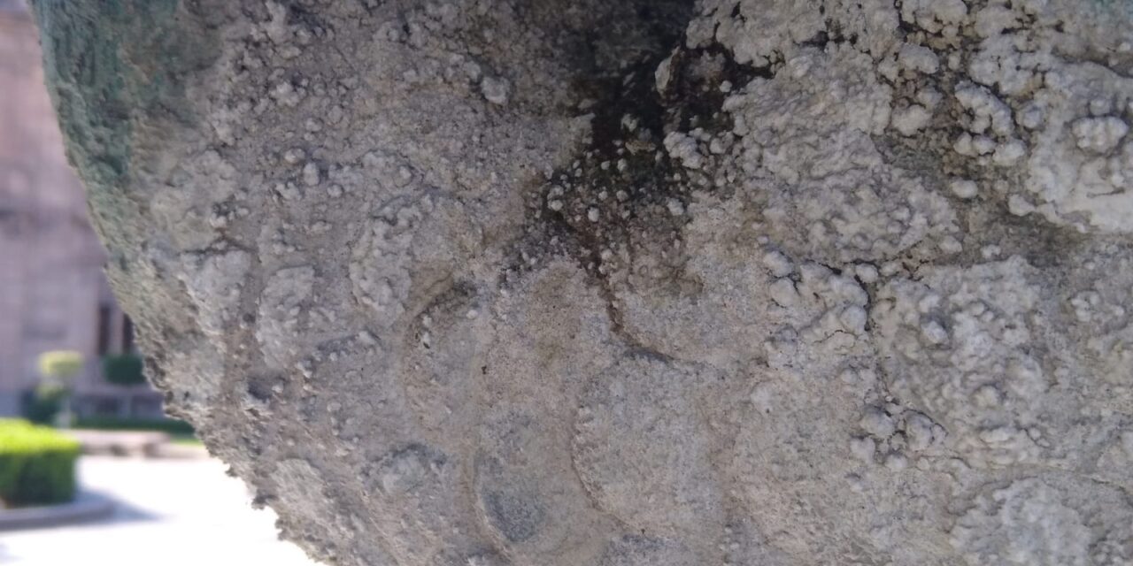 UGCH desarrolla propuesta de conservación para la fuente de Plaza del Carmen.
