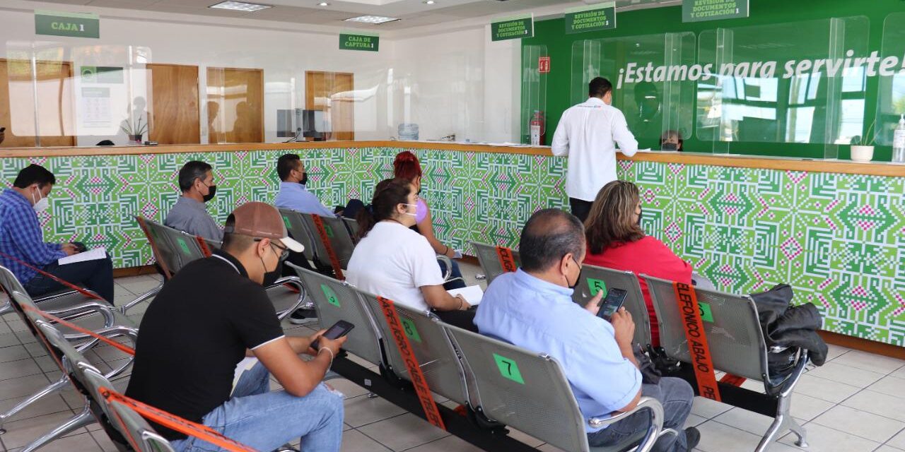 Ciudadanía aprovecha asueto y tramita licencia gratuita