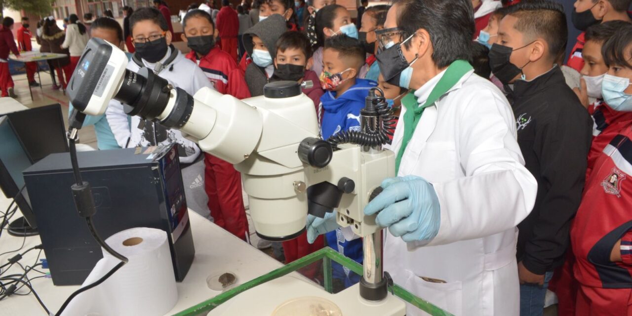 Llegó a Soledad el museo Laberinto de las Ciencias y las Artes Itinerante