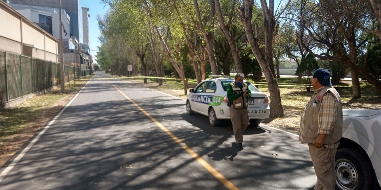 Se mantienen cerrados Parques Tangamanga a causa de fuertes vientos.