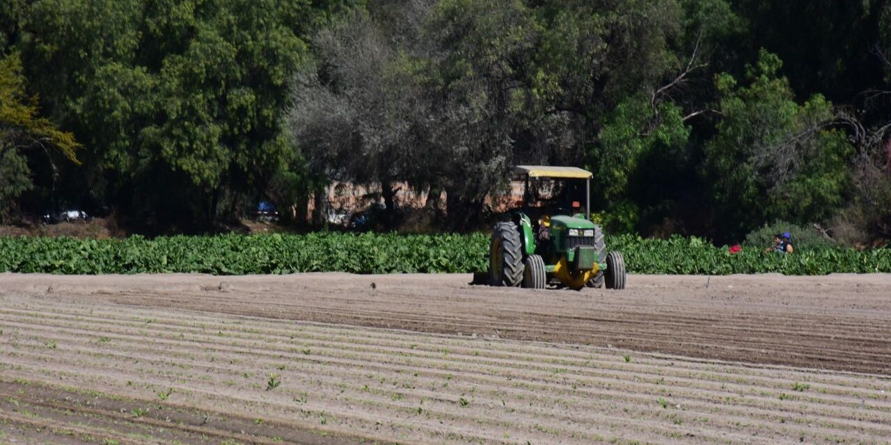 Monitorean campos por estiaje