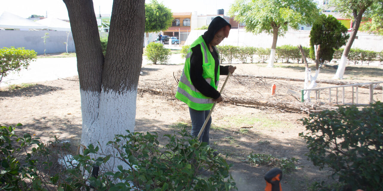 Servicios municipales da continuidad a las labores para embellecer los espacios públicos del municipio