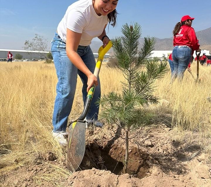 Con reforestación en la Unidad Deportiva Casanova, conmemoran el Día Mundial de la Tierra en Villa de Pozos