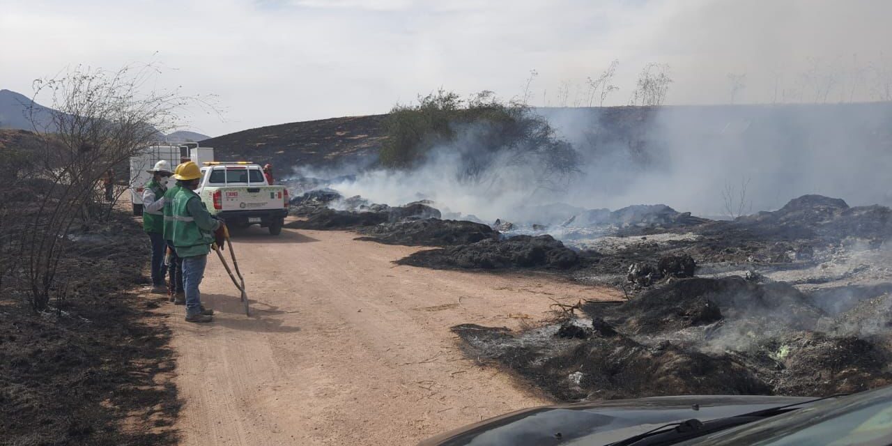 Cuerpos de emergencia atienden incendio de pastizal en ZI